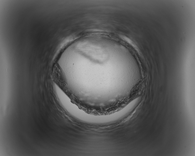 X0000083581357200703021804