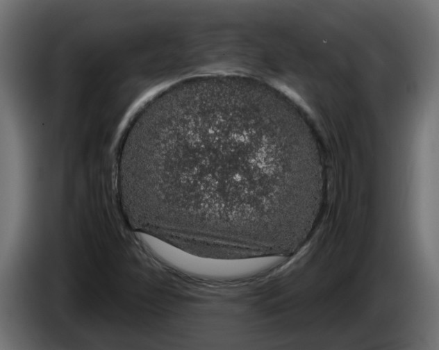 X0000083581358200703021804