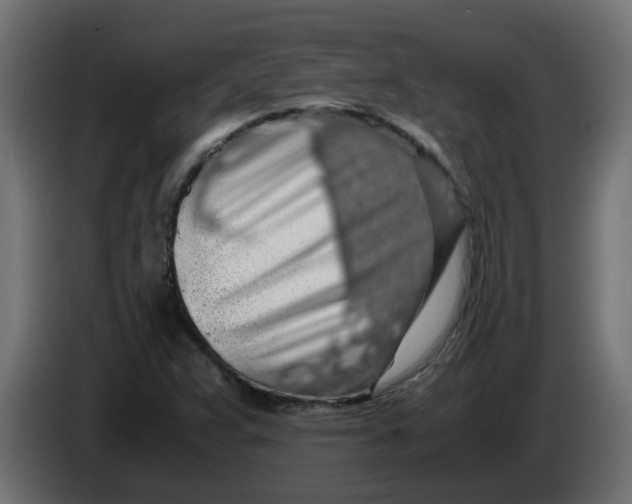 X0000083581359200703021804