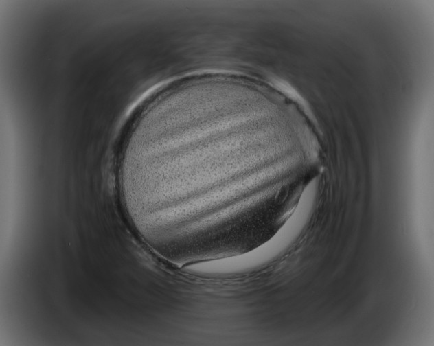 X0000083581360200703021804