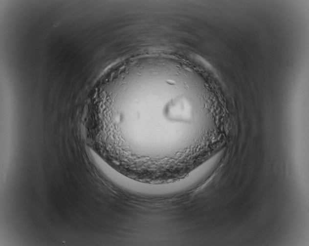 X0000083581361200703021804