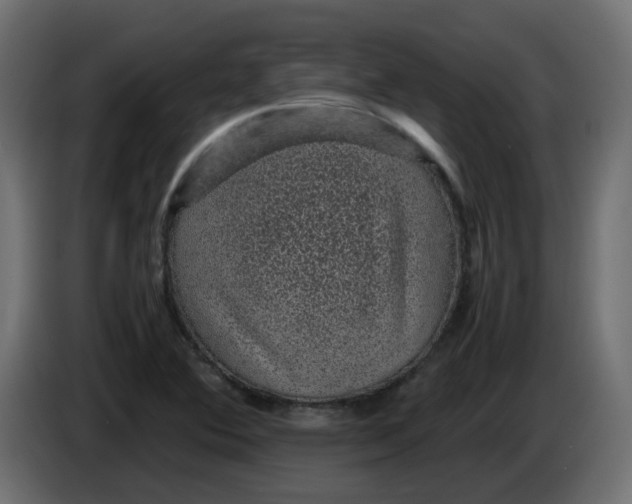 X0000083581364200703021803