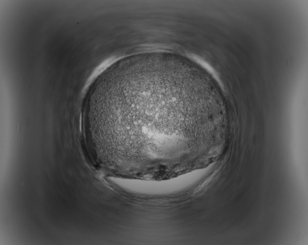 X0000083581365200703021803