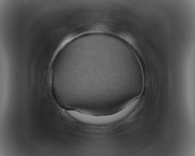 X0000083581366200703021803