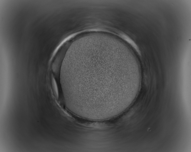 X0000083581368200703021803