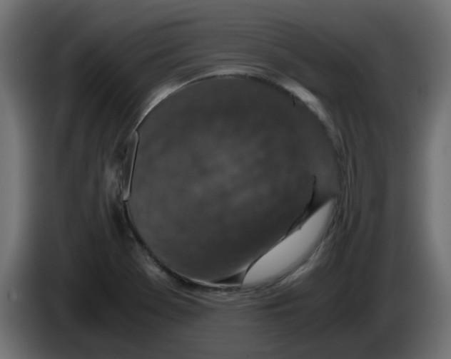 X0000083581369200703021803