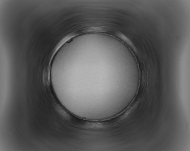 X0000083581370200703021803