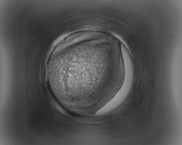 X0000083581371200703021803