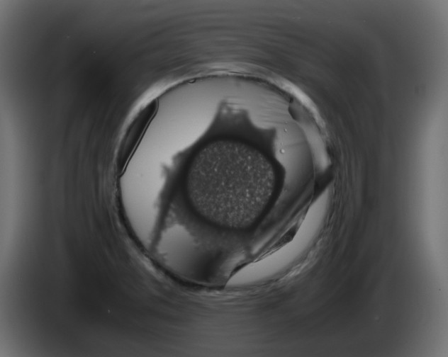 X0000083581373200703021803