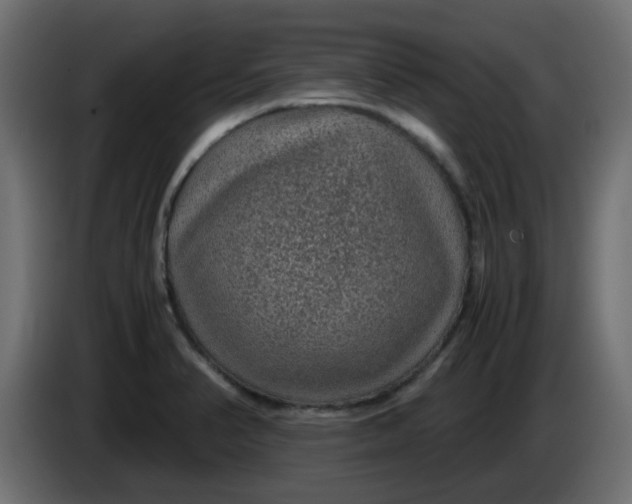 X0000083581374200703021803