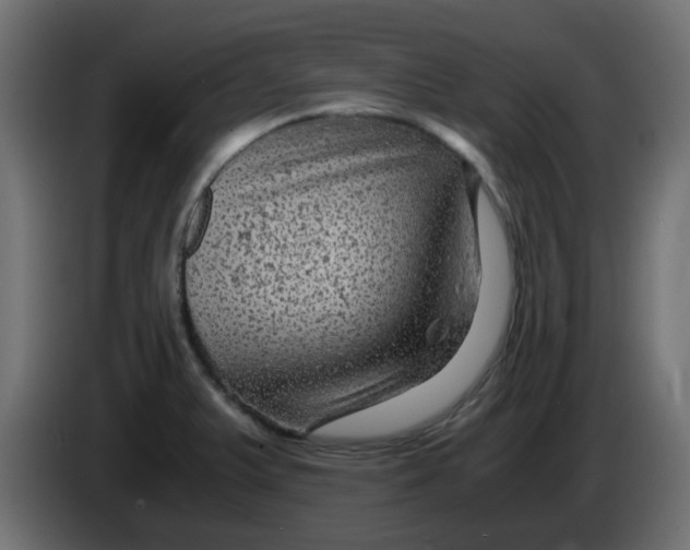 X0000083581375200703021803