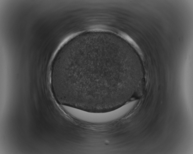 X0000083581376200703021803