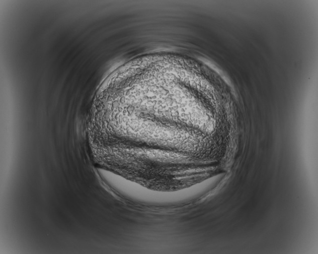 X0000083581377200703021803