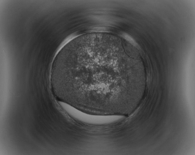 X0000083581378200703021803