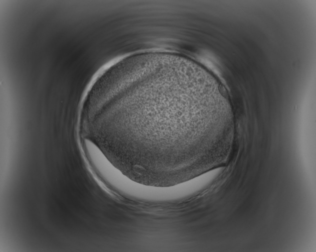 X0000083581379200703021803