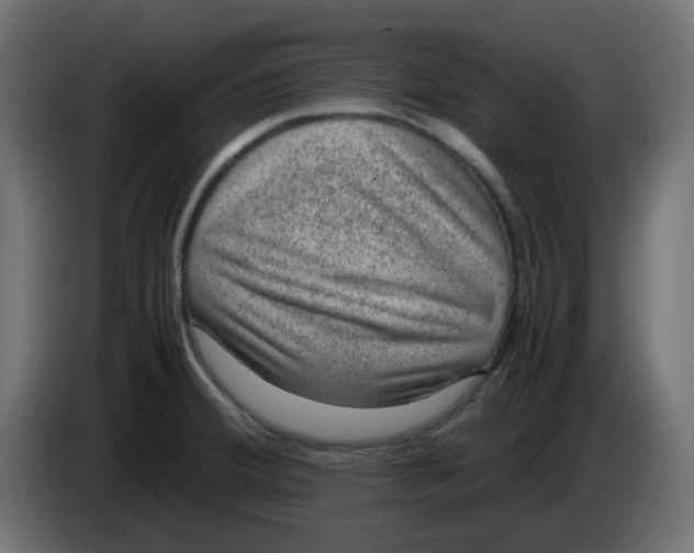 X0000083581380200703021803