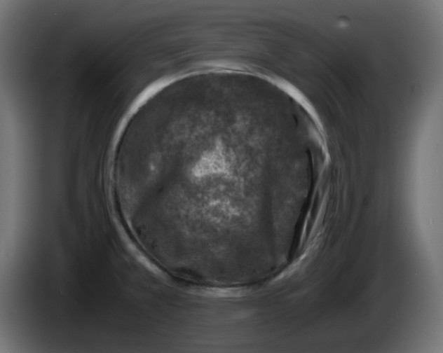 X0000083581381200703021803