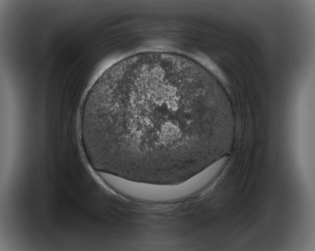 X0000083581382200703021803