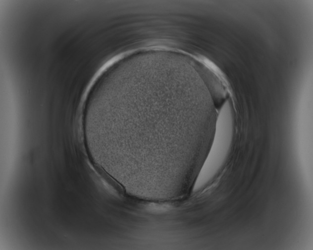 X0000083581384200703021803