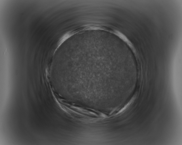 X0000083581385200703021803