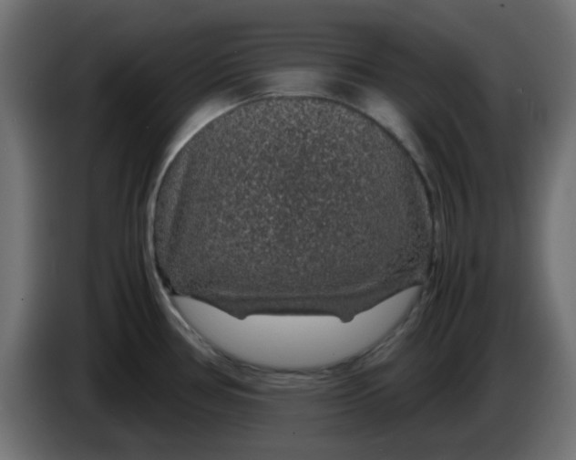 X0000083581386200703021803