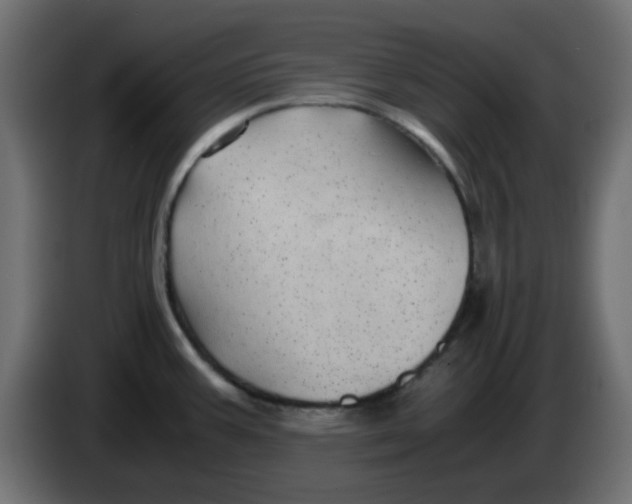 X0000083581387200703021803