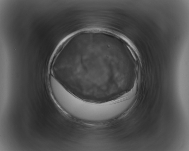 X0000083581388200703021803