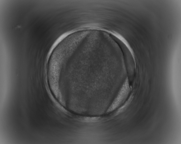 X0000083581389200703021803