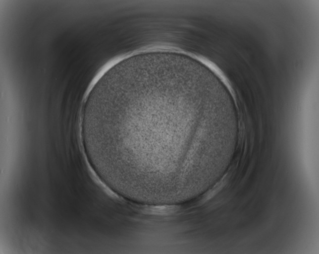 X0000083581390200703021803