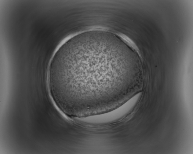 X0000083581391200703021803