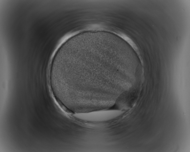 X0000083581392200703021803