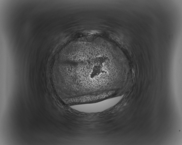 X0000083581393200703021802