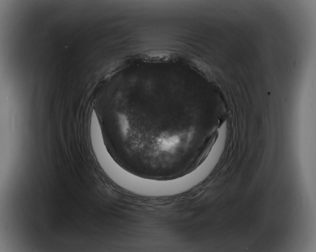 X0000083581394200703021802