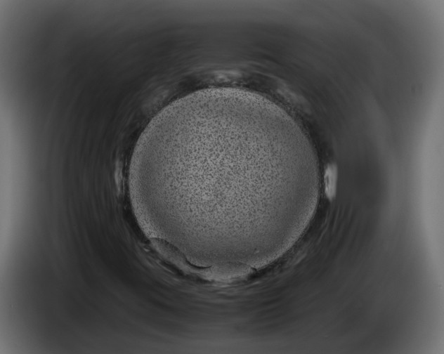 X0000083581395200703021802