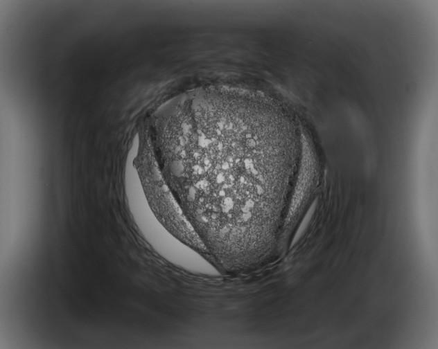 X0000083581397200703021802