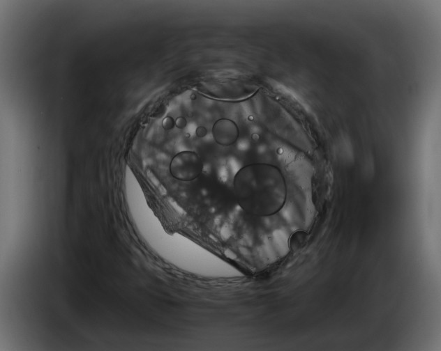 X0000083581399200703021802