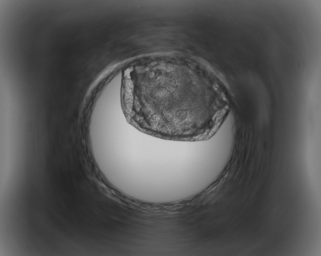 X0000083581400200703021802