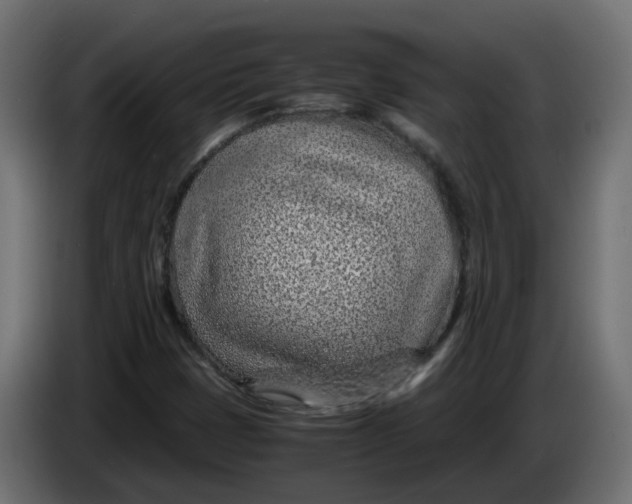 X0000083581401200703021802