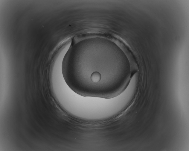 X0000083581402200703021802