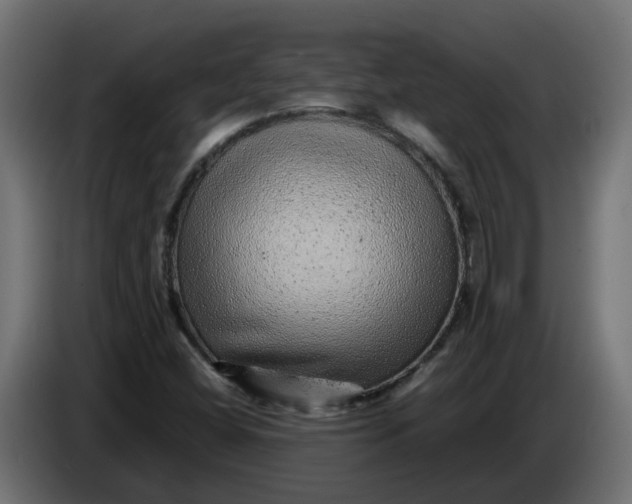 X0000083581404200703021802