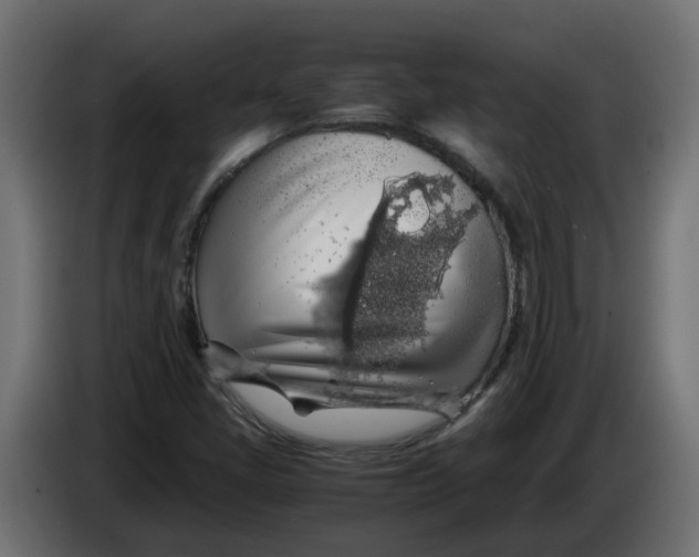 X0000083581405200703021802