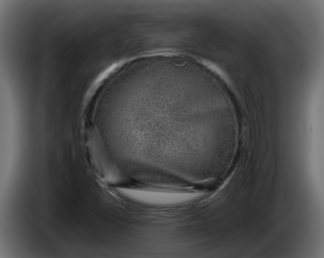 X0000083581406200703021802