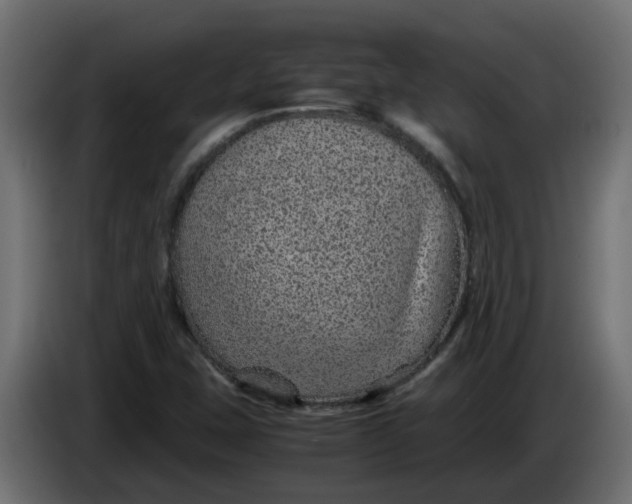 X0000083581407200703021802