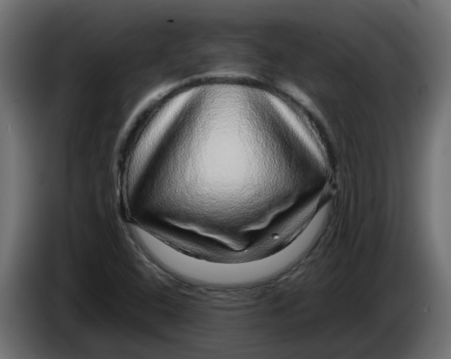 X0000083581408200703021802