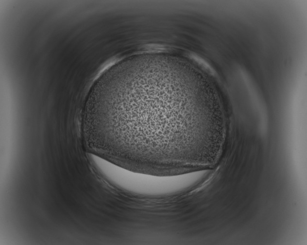 X0000083581409200703021802