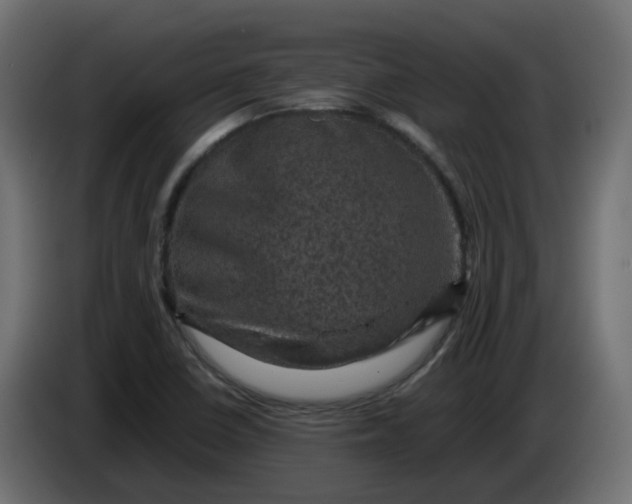 X0000083581410200703021802