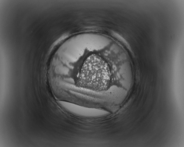 X0000083581411200703021802