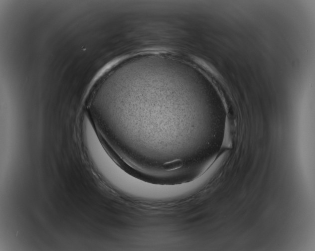 X0000083581412200703021802