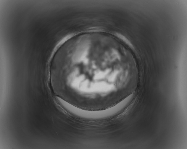 X0000083581413200703021802