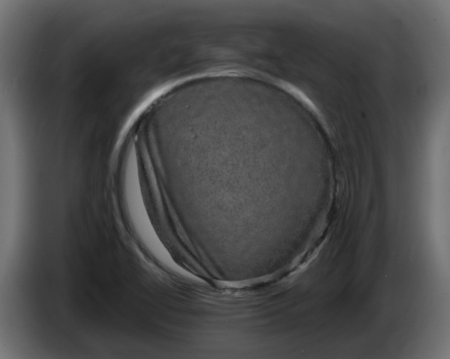 X0000083581414200703021802